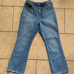 Madewell Cali-Demi Boot Button-fly Jeans